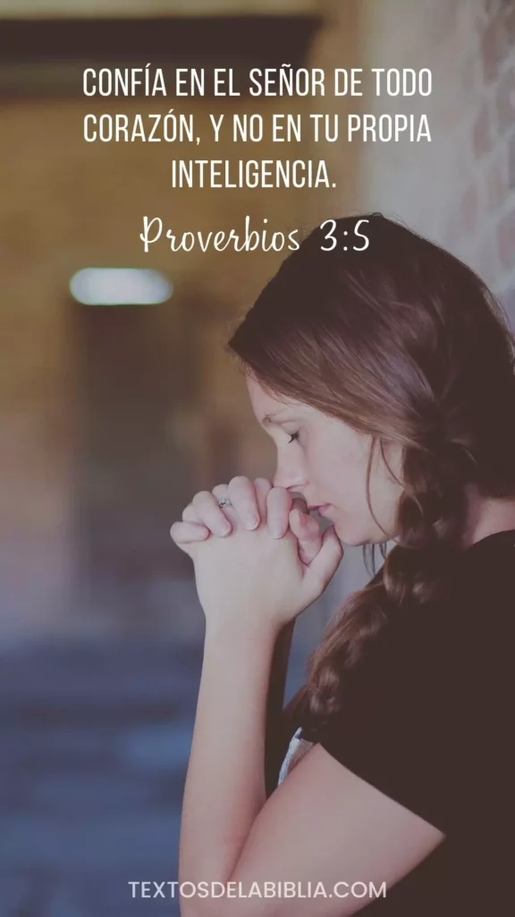 Versículos biblicos para Jovenes Proverbios 3.5