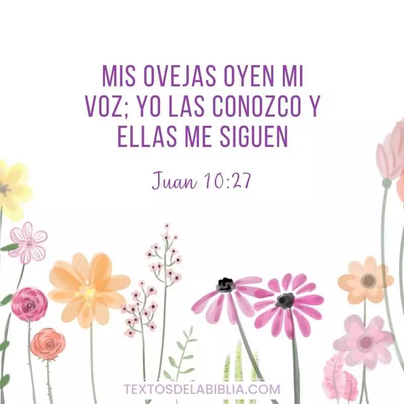 Juan 10:27