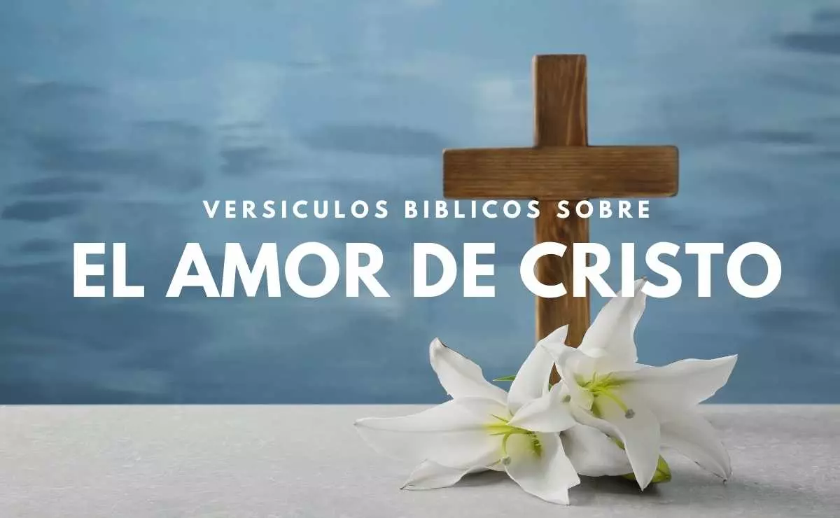 Versículos Bíblicos sobre El Amor de Cristo