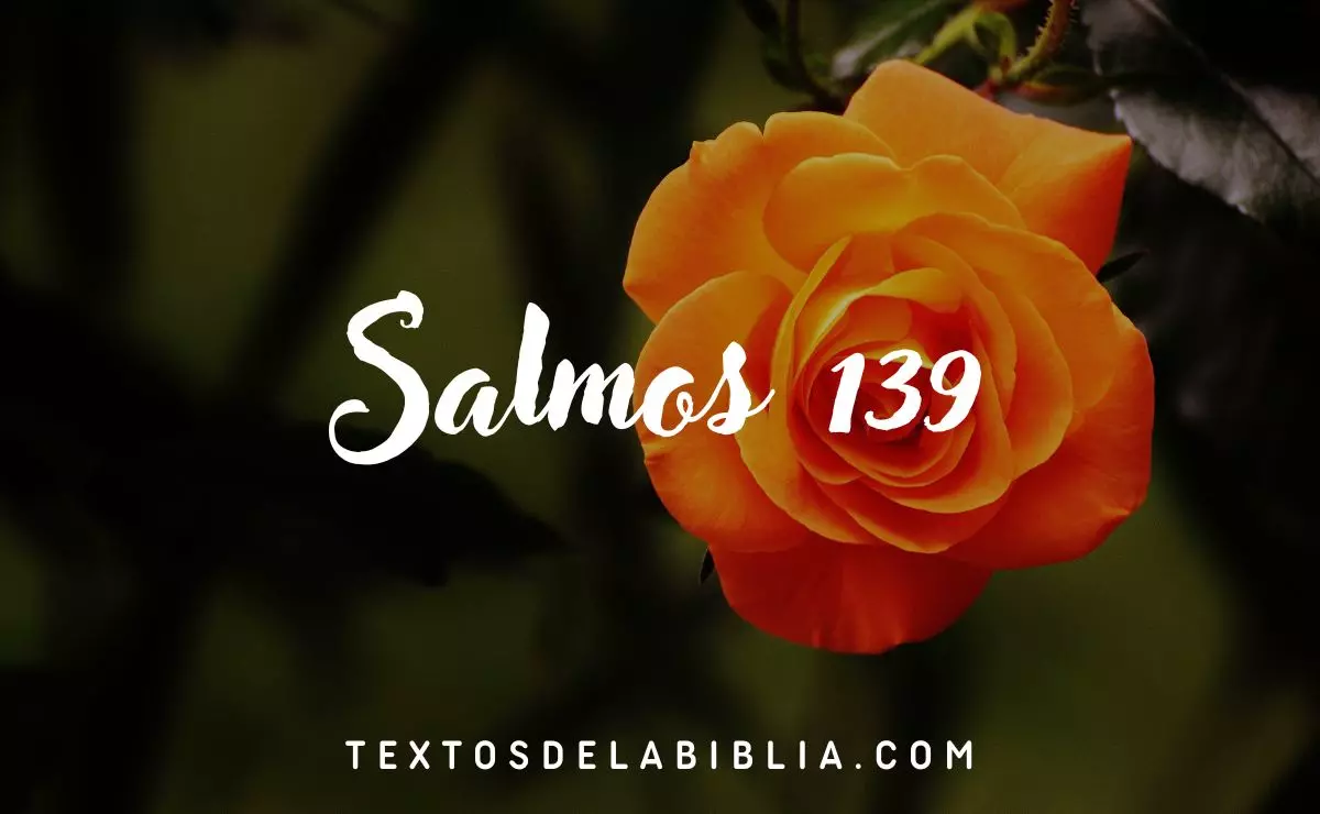 Salmos 139